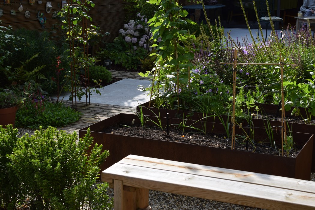 View from the vegetable garden